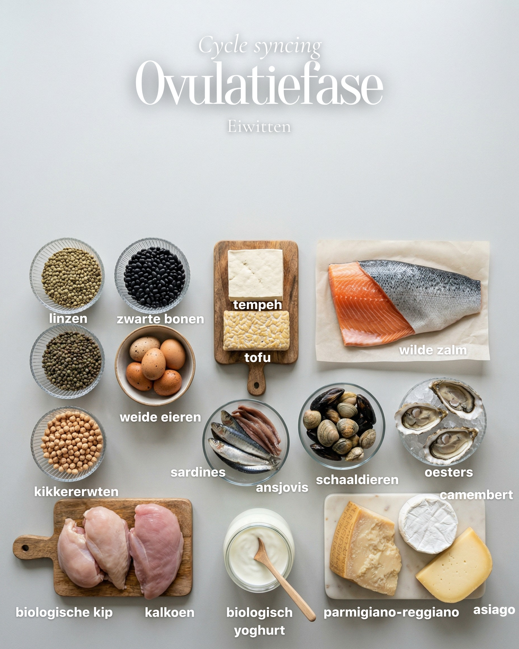 Een overzichtsfoto van hoogwaardige eiwitten voor de ovulatiefase, waaronder wilde zalm, biologische eieren, linzen en tempé. Deze afbeelding toont de voedingsmiddelen voor cycle syncing die in deze fase met lage eetlust zorgen voor de maximale levering van essentiële aminozuren en gezonde vetten (lipiden) voor hormoonproductie.